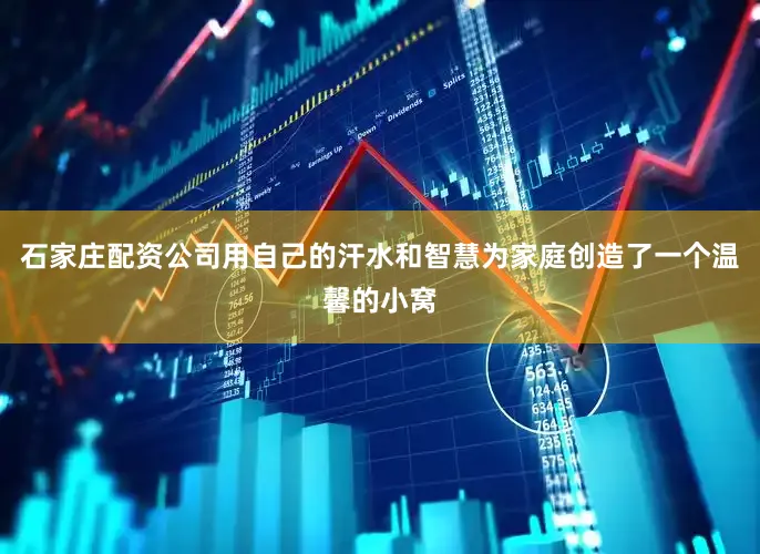 石家庄配资公司用自己的汗水和智慧为家庭创造了一个温馨的小窝